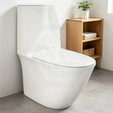 RAK Sensation Back to Wall Toilet Suite With Rimless Hygienic Flush Hidden Fixings - Alpine White