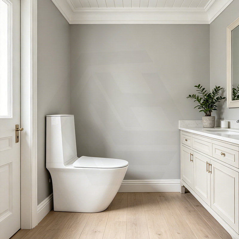 RAK Sensation Back to Wall Toilet Suite With Rimless Hygienic Flush Hidden Fixings - Alpine White