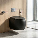 RAK Cloud Rimless Flush Wall Hung Toilet Pan Only For Bathroom - Variant Colour