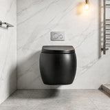 RAK Cloud Rimless Flush Wall Hung Toilet Pan Only For Bathroom - Variant Colour