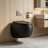 RAK Cloud Rimless Flush Wall Hung Toilet Pan Only For Bathroom - Variant Colour