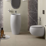 RAK Cloud Rimless Flush Wall Hung Toilet Pan For Bathroom Variant Colour Available