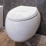 RAK Cloud Rimless Flush Wall Hung Toilet Pan For Bathroom Variant Colour Available