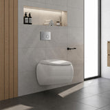 RAK Cloud Rimless Flush Wall Hung Toilet Pan Only For Bathroom - Variant Colour
