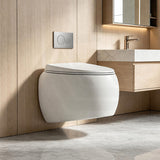 RAK Cloud Rimless Flush Wall Hung Toilet Pan Only For Bathroom - Variant Colour