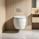 RAK Cloud Rimless Flush Wall Hung Toilet Pan Only For Bathroom - Variant Colour