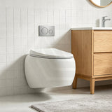 RAK Cloud Rimless Flush Wall Hung Toilet Pan Only For Bathroom - Variant Colour