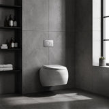 RAK Cloud Rimless Flush Wall Hung Toilet Pan Only For Bathroom - Variant Colour