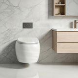 RAK Cloud Rimless Flush Wall Hung Toilet Pan Only For Bathroom - Variant Colour