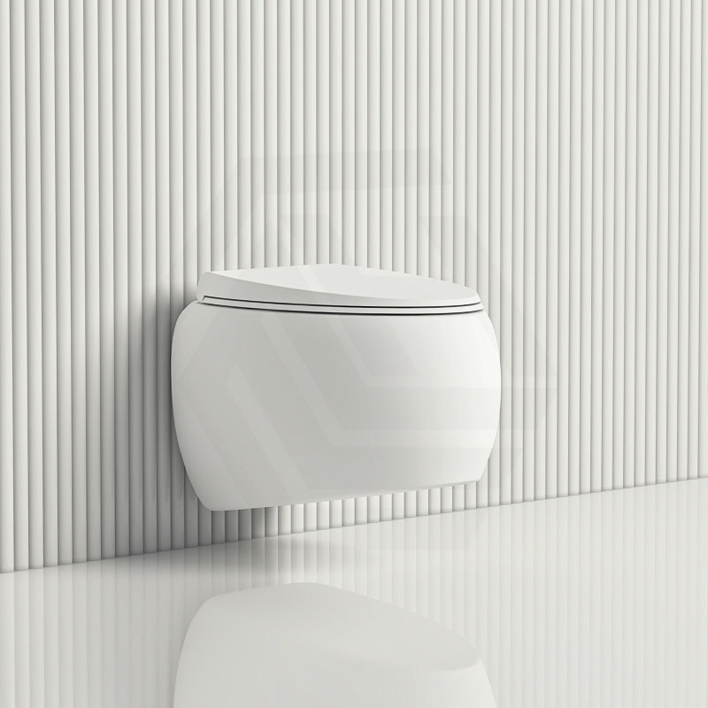 RAK Cloud Rimless Flush Wall Hung Toilet Pan For Bathroom Variant Colour Available