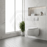 RAK Cloud Rimless Flush Wall Hung Toilet Pan Only For Bathroom - Variant Colour