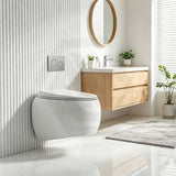 RAK Cloud Rimless Flush Wall Hung Toilet Pan Only For Bathroom - Variant Colour