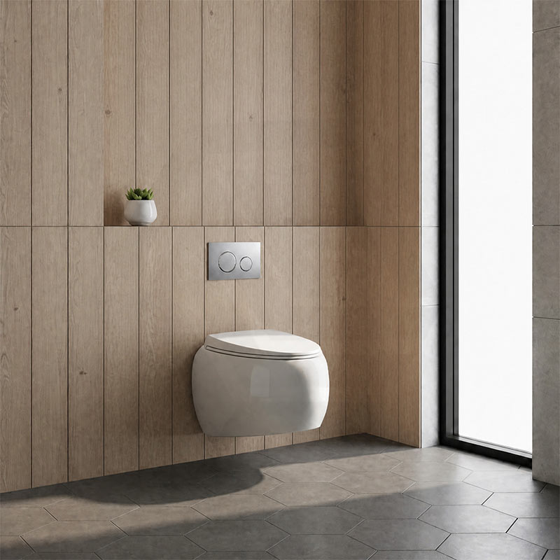 RAK Cloud Rimless Flush Wall Hung Toilet Pan Only For Bathroom - Variant Colour