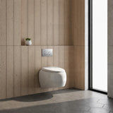 RAK Cloud Rimless Flush Wall Hung Toilet Pan Only For Bathroom - Variant Colour