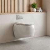 RAK Cloud Rimless Flush Wall Hung Toilet Pan Only For Bathroom - Variant Colour