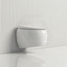 RAK Cloud Rimless Flush Wall Hung Toilet Pan For Bathroom Variant Colour Available