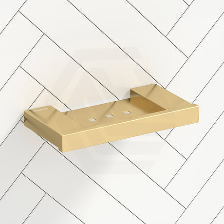 Fienza Tono Stainless Steel Soap Shelf Colours Available