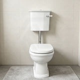 RAK Washington Front Lever Adjustable Link Toilet Suite P-Trap or S-Trap Available - Alpine White