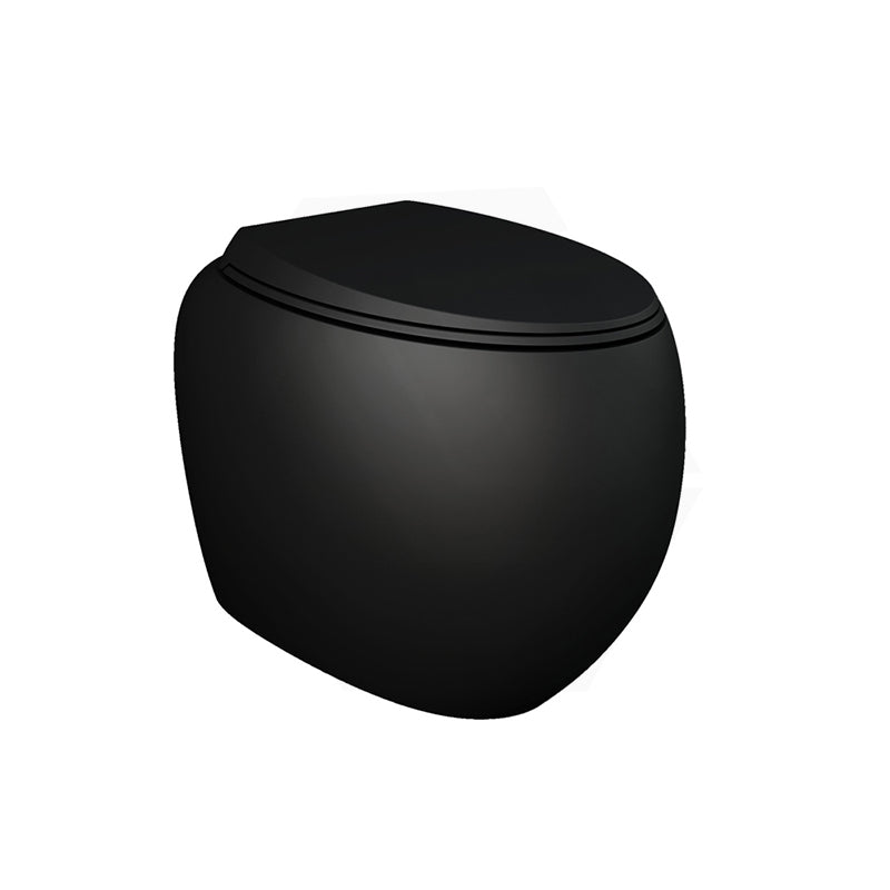 Fienza RAK CLOUD Rimless Flush Wall Faced Toilet Pan and Seat P Trap Variant Colour Available