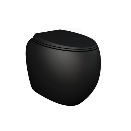 Fienza RAK CLOUD Rimless Flush Wall Faced Toilet Pan and Seat P Trap Variant Colour Available