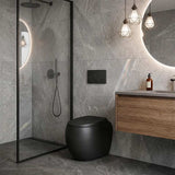 RAK Cloud Rimless Flush Wall Faced Toilet Pan Only and Seat - Variant Colour