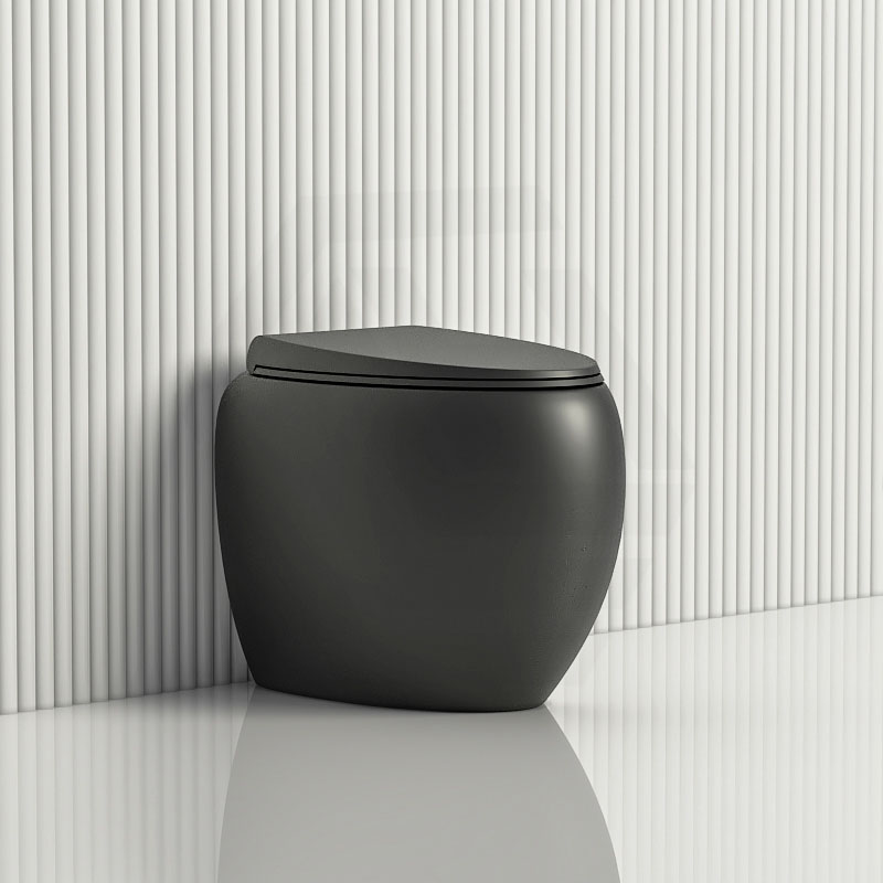 RAK CLOUD Rimless Flush Wall Faced Toilet Pan and Seat Variant Colour Available