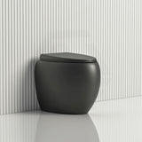 RAK CLOUD Rimless Flush Wall Faced Toilet Pan and Seat Variant Colour Available