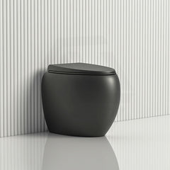 RAK CLOUD Rimless Flush Wall Faced Toilet Pan and Seat Variant Colour Available