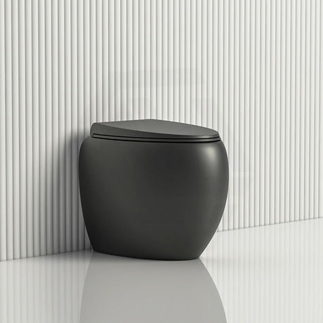 RAK CLOUD Rimless Flush Wall Faced Toilet Pan and Seat Variant Colour Available