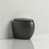RAK CLOUD Rimless Flush Wall Faced Toilet Pan and Seat Variant Colour Available