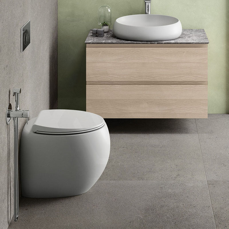 Fienza RAK CLOUD Rimless Flush Wall Faced Toilet Pan and Seat P Trap Variant Colour Available