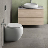 Fienza RAK CLOUD Rimless Flush Wall Faced Toilet Pan and Seat P Trap Variant Colour Available