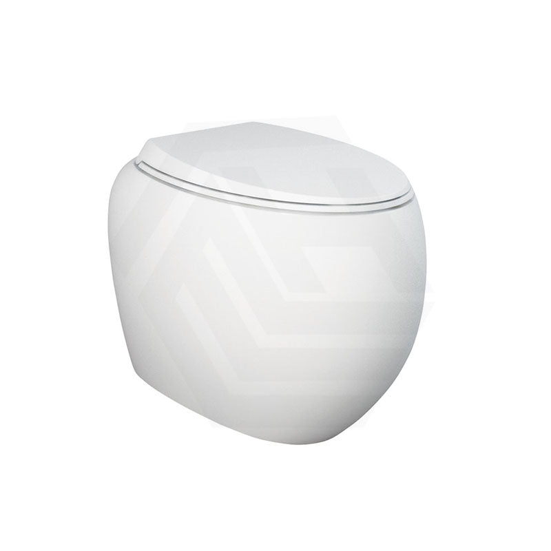 Fienza RAK CLOUD Rimless Flush Wall Faced Toilet Pan and Seat P Trap Variant Colour Available