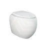 Fienza RAK CLOUD Rimless Flush Wall Faced Toilet Pan and Seat P Trap Variant Colour Available