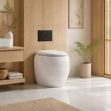 RAK Cloud Rimless Flush Wall Faced Toilet Pan Only and Seat - Variant Colour