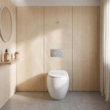 RAK Cloud Rimless Flush Wall Faced Toilet Pan Only and Seat - Variant Colour