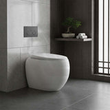 RAK Cloud Rimless Flush Wall Faced Toilet Pan Only and Seat - Variant Colour