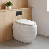 RAK Cloud Rimless Flush Wall Faced Toilet Pan Only and Seat - Variant Colour