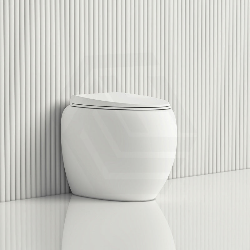 RAK CLOUD Rimless Flush Wall Faced Toilet Pan and Seat Variant Colour Available