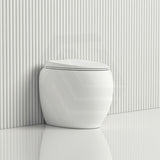 RAK CLOUD Rimless Flush Wall Faced Toilet Pan and Seat Variant Colour Available