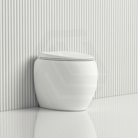 RAK CLOUD Rimless Flush Wall Faced Toilet Pan and Seat Variant Colour Available