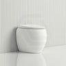 RAK CLOUD Rimless Flush Wall Faced Toilet Pan and Seat Variant Colour Available