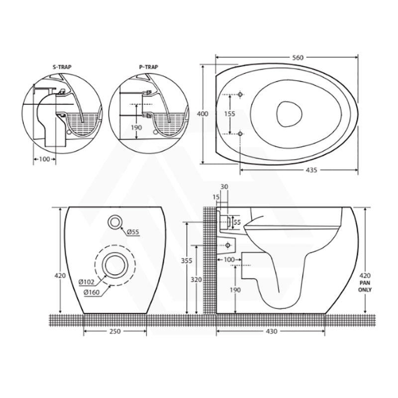 Fienza RAK CLOUD Rimless Flush Wall Faced Toilet Pan and Seat P Trap Variant Colour Available