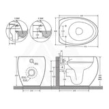 Fienza RAK CLOUD Rimless Flush Wall Faced Toilet Pan and Seat P Trap Variant Colour Available