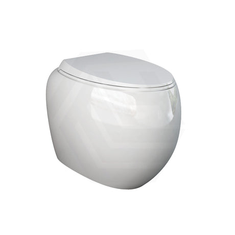 Fienza RAK CLOUD Rimless Flush Wall Faced Toilet Pan and Seat P Trap Variant Colour Available
