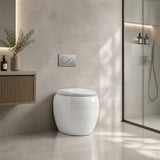RAK Cloud Rimless Flush Wall Faced Toilet Pan Only and Seat - Variant Colour