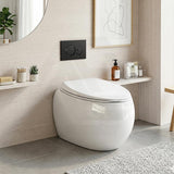 RAK Cloud Rimless Flush Wall Faced Toilet Pan Only and Seat - Variant Colour
