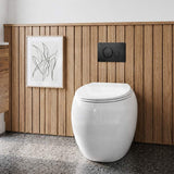 RAK Cloud Rimless Flush Wall Faced Toilet Pan Only and Seat - Variant Colour