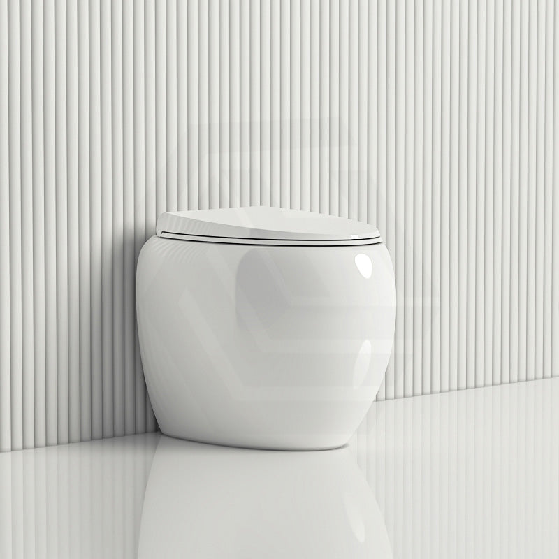 RAK CLOUD Rimless Flush Wall Faced Toilet Pan and Seat Variant Colour Available