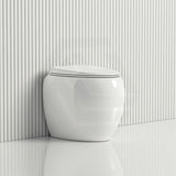 RAK CLOUD Rimless Flush Wall Faced Toilet Pan and Seat Variant Colour Available